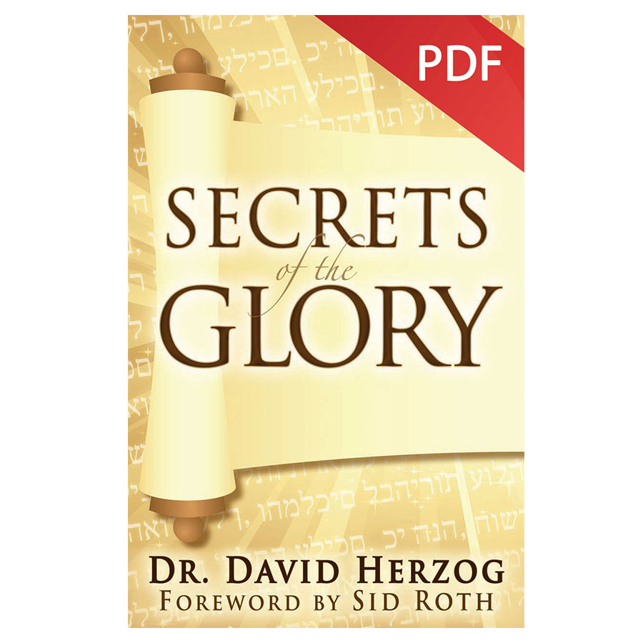 Secrets of the Glory PDF Download David Herzog Store